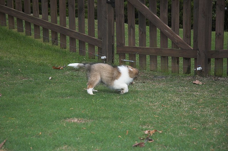 DSC_2920-01.jpg