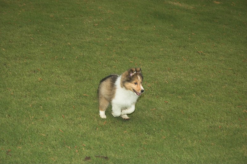 DSC_2925-01.jpg