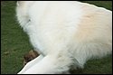 DSC_2834-01.jpg