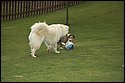 DSC_2836-01.jpg