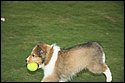 DSC_2848-01.jpg