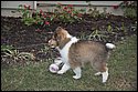 DSC_2867-01.jpg