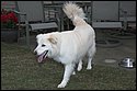 DSC_2868-01.jpg