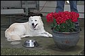 DSC_2869-01.jpg