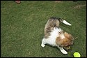 DSC_2880-01.jpg