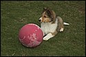 DSC_2887-01.jpg