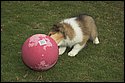DSC_2888-01.jpg