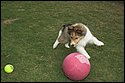 DSC_2890-01.jpg