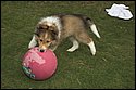 DSC_2891-01.jpg