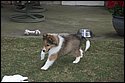 DSC_2898-01.jpg