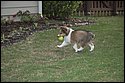 DSC_2899-01.jpg