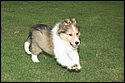 DSC_2904-01.jpg