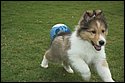 DSC_2905-01.jpg