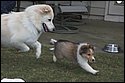 DSC_2906-01.jpg