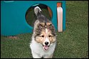 DSC_2907-01.jpg