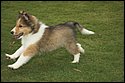 DSC_2916-01.jpg