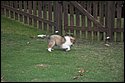 DSC_2920-01.jpg