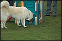 DSC_2929-01.jpg