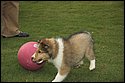 DSC_2933-01.jpg