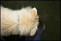 DSC_2934-01.jpg