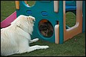 DSC_2937-01.jpg