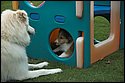 DSC_2938-01.jpg