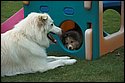 DSC_2940-01.jpg
