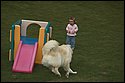 DSC_2963-01.jpg