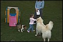 DSC_2968-01.jpg