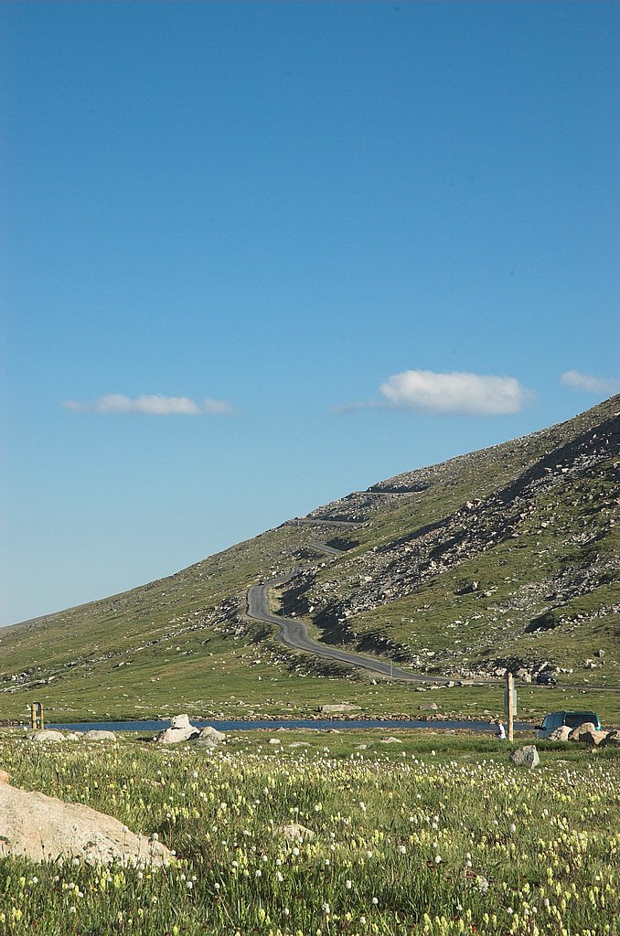 DSC_3519.jpg