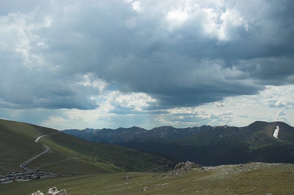 DSC_3559.jpg