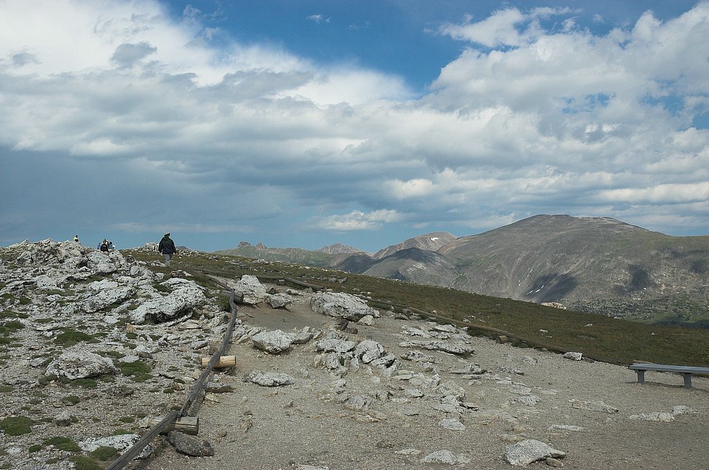 DSC_3564.jpg