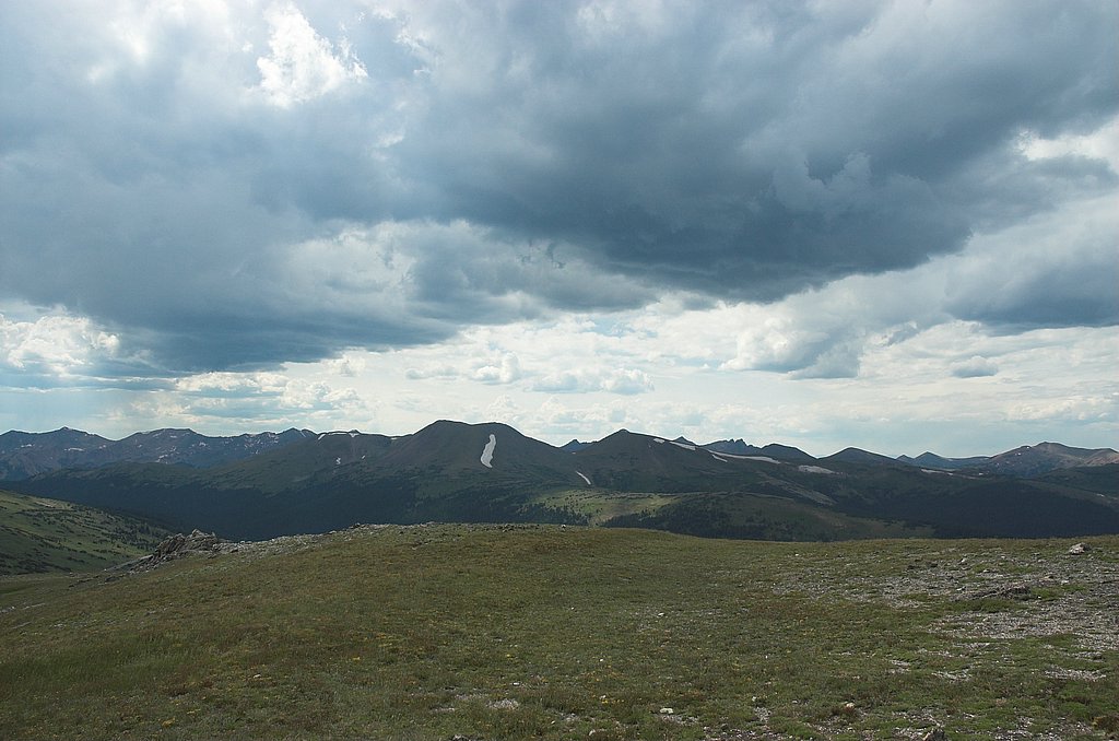 DSC_3566.jpg