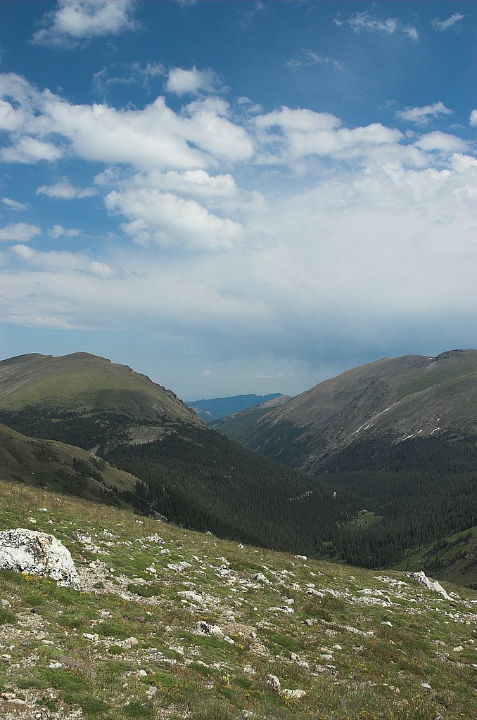 DSC_3572.jpg