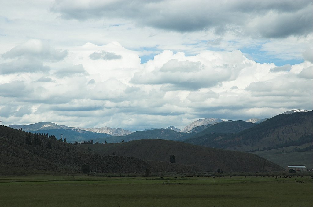 DSC_3610.jpg