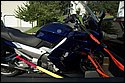 DSC_3451.jpg