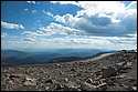 DSC_3463.jpg