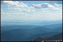 DSC_3495.jpg
