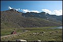 DSC_3505.jpg