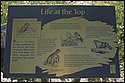 DSC_3515.jpg