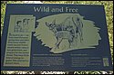 DSC_3516.jpg