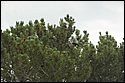 DSC_3535.jpg