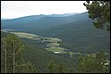 DSC_3536.jpg