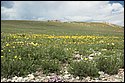 DSC_3546.jpg