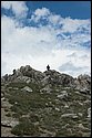 DSC_3556.jpg