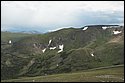 DSC_3562.jpg
