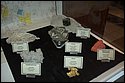 DSC_3601.jpg
