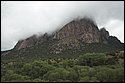 DSC_3648.jpg