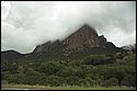 DSC_3650.jpg
