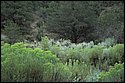 DSC_3651.jpg